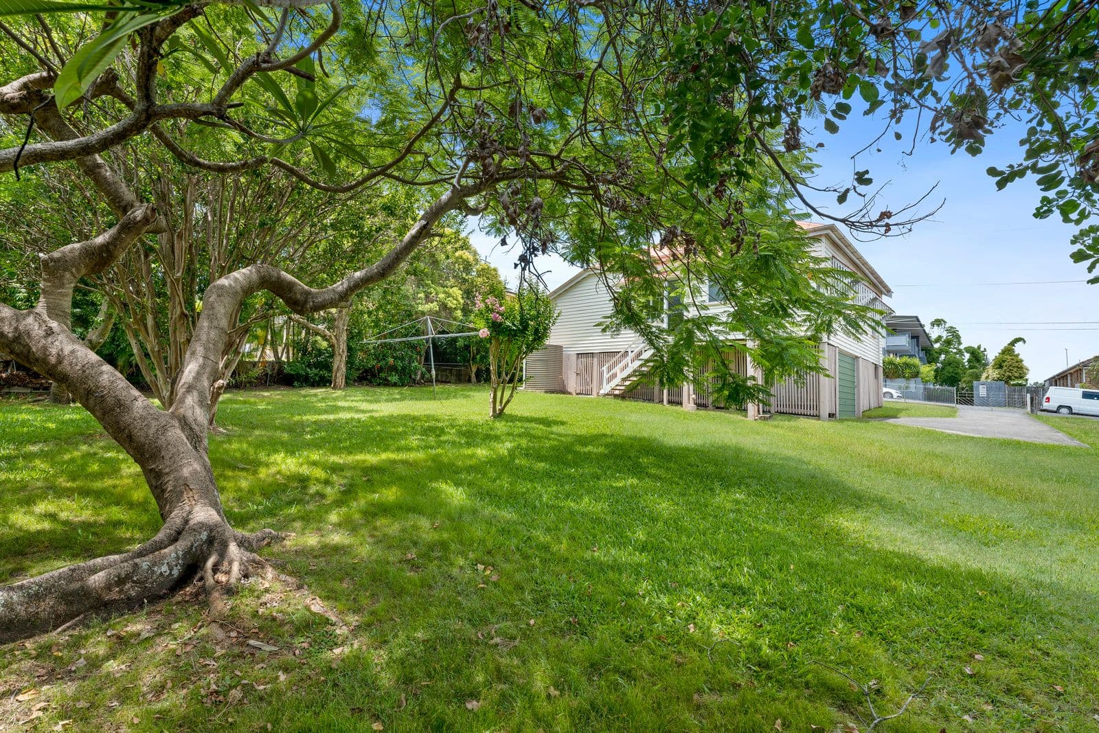 55 Bunya Street, Greenslopes QLD 4120, Greenslopes - Thumbnail 5