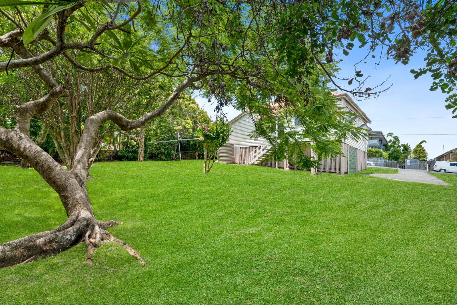 55 Bunya Street, Greenslopes QLD 4120, Greenslopes - Thumbnail 6