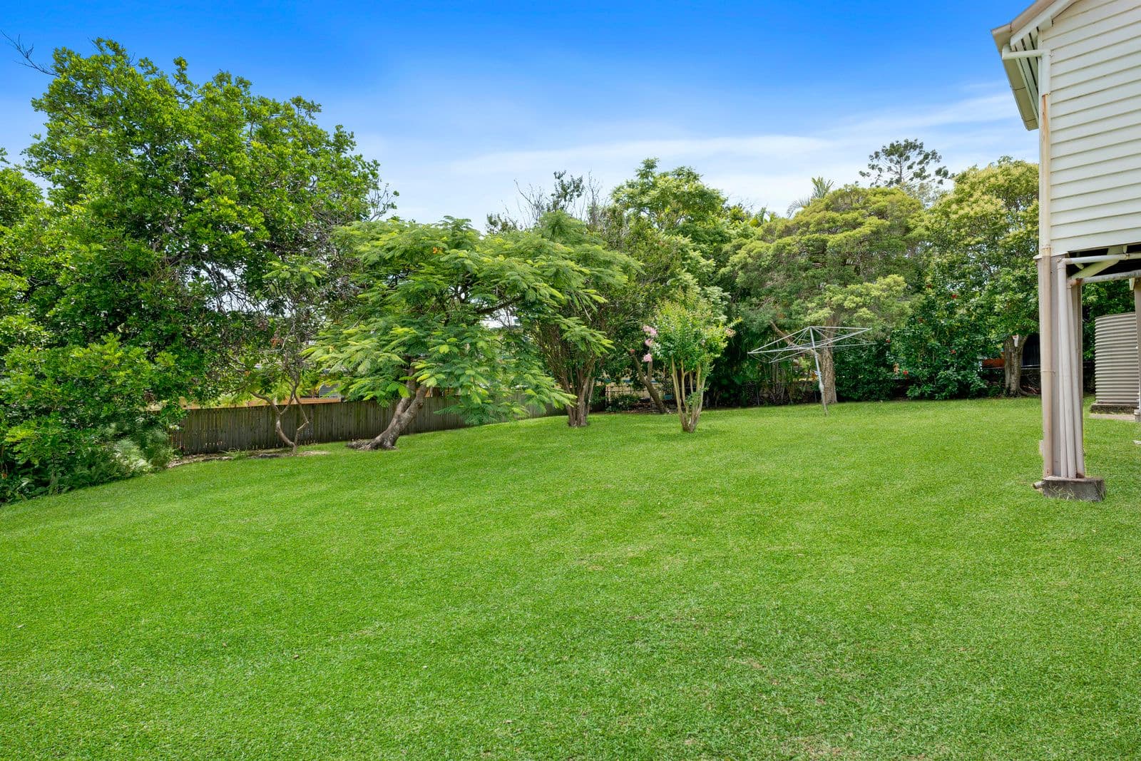 55 Bunya Street, Greenslopes QLD 4120, Greenslopes - Thumbnail 7