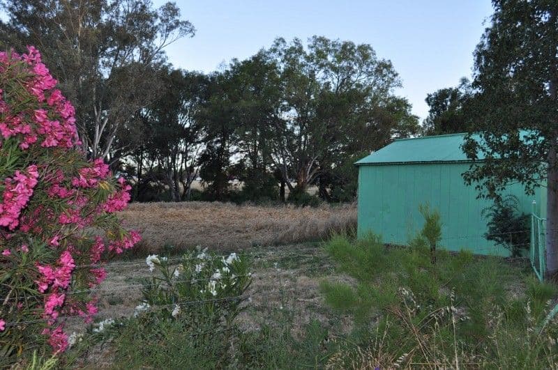 Lot 162 North Street, EUGOWRA NSW 2806, Eugowra - Image 1