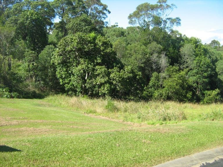 13 The Glen, Maclean NSW 2463, Maclean - Thumbnail 3