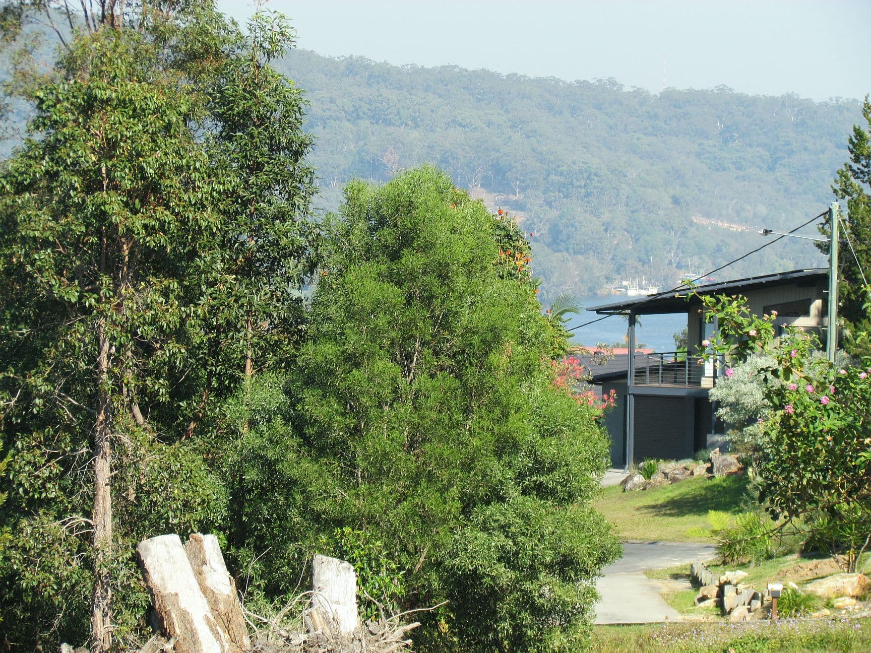 13 The Glen, Maclean NSW 2463, Maclean - Thumbnail 5