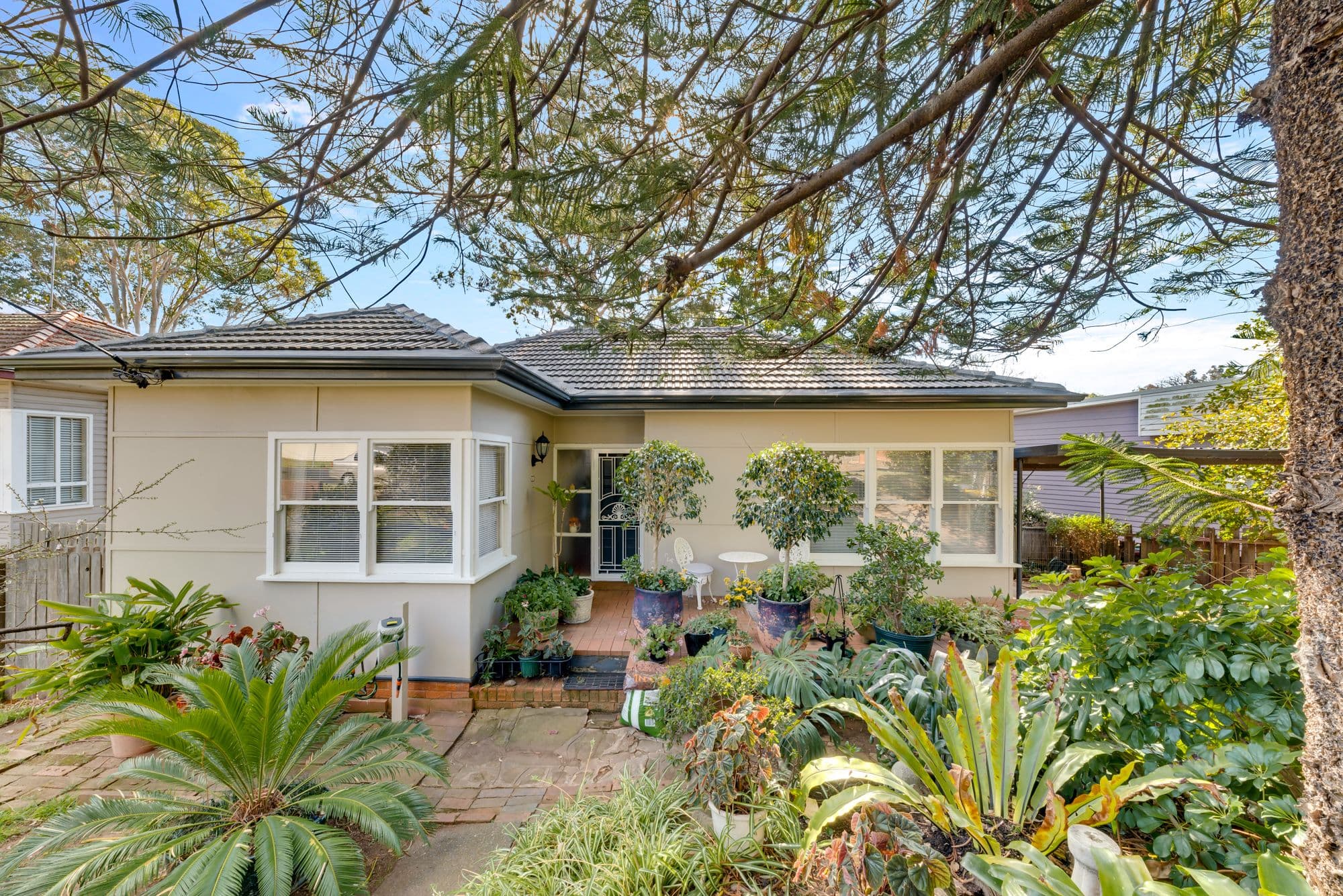 40 Austin Avenue, Campbelltown - Image 1