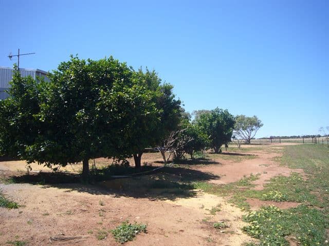36 Eighth Avenue, NORTHAMPTON WA 6535, Northampton - Thumbnail 6