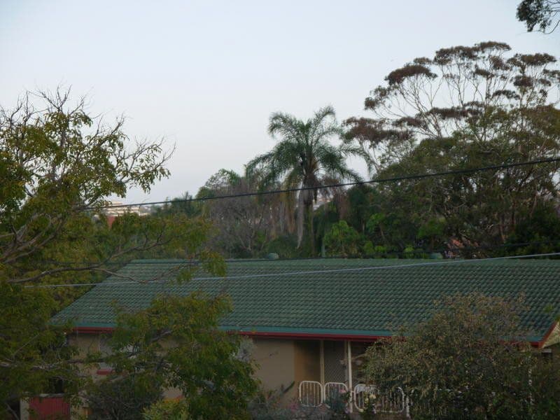 91 Pie Street, ASPLEY QLD 4034, Aspley - Thumbnail 6