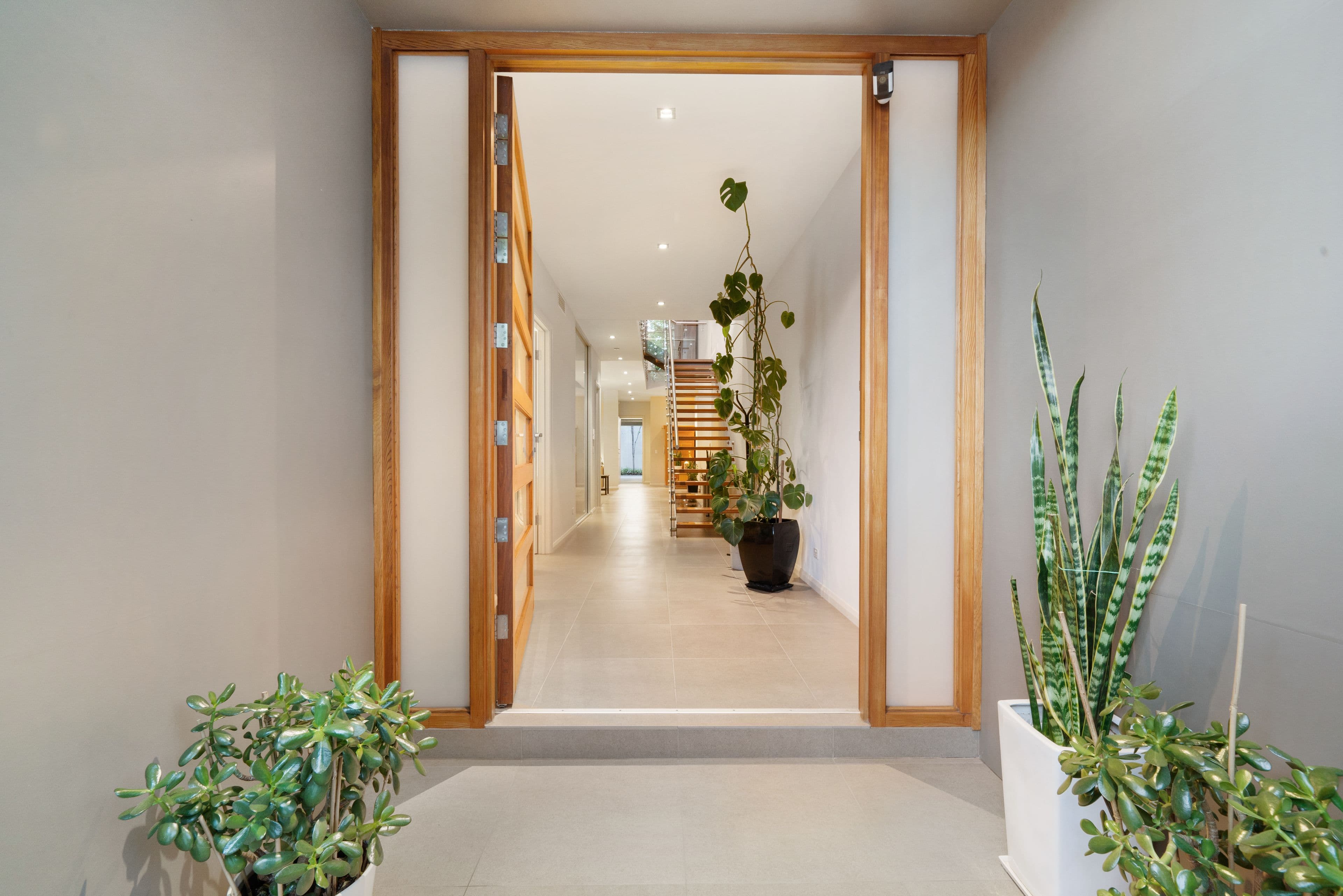 97 Sturt Street, Adelaide SA 5000, Adelaide - Thumbnail 3