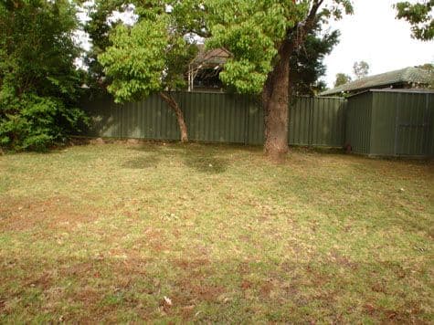 33 Hilary Street, Winston Hills NSW 2153, Winston Hills - Thumbnail 2