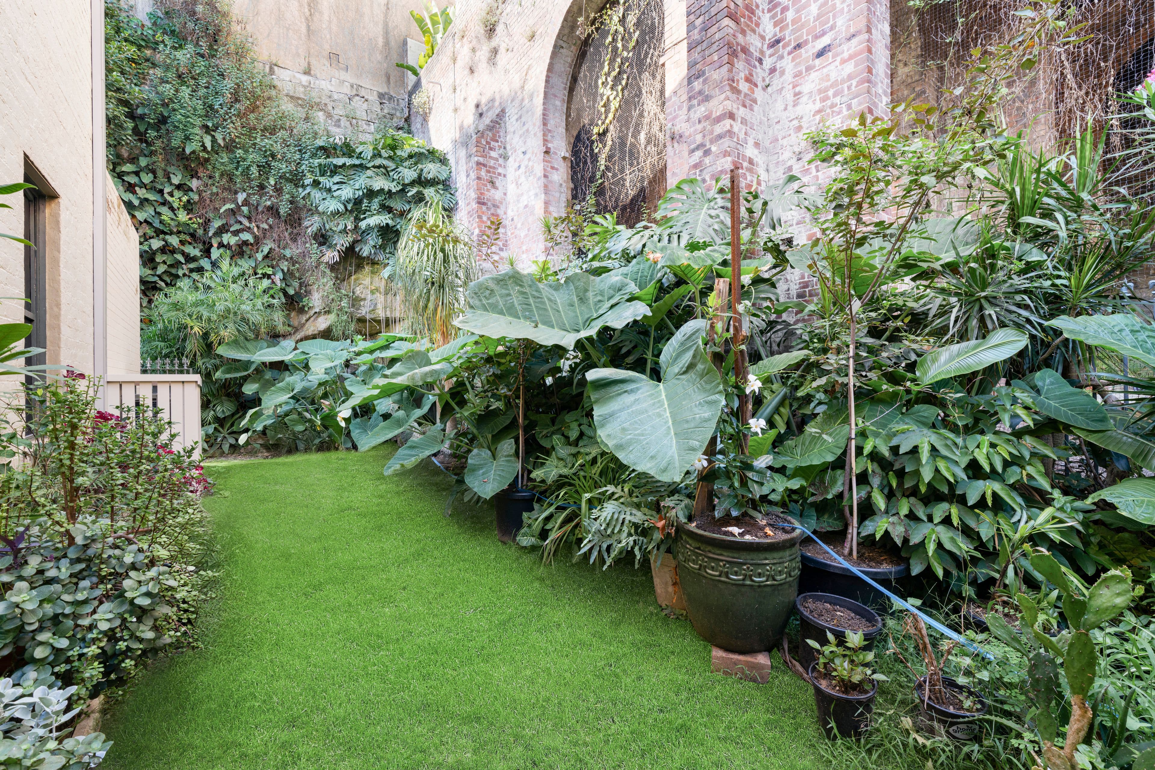 5 Rowena Place, Potts Point NSW 2011, Potts Point - Thumbnail 4