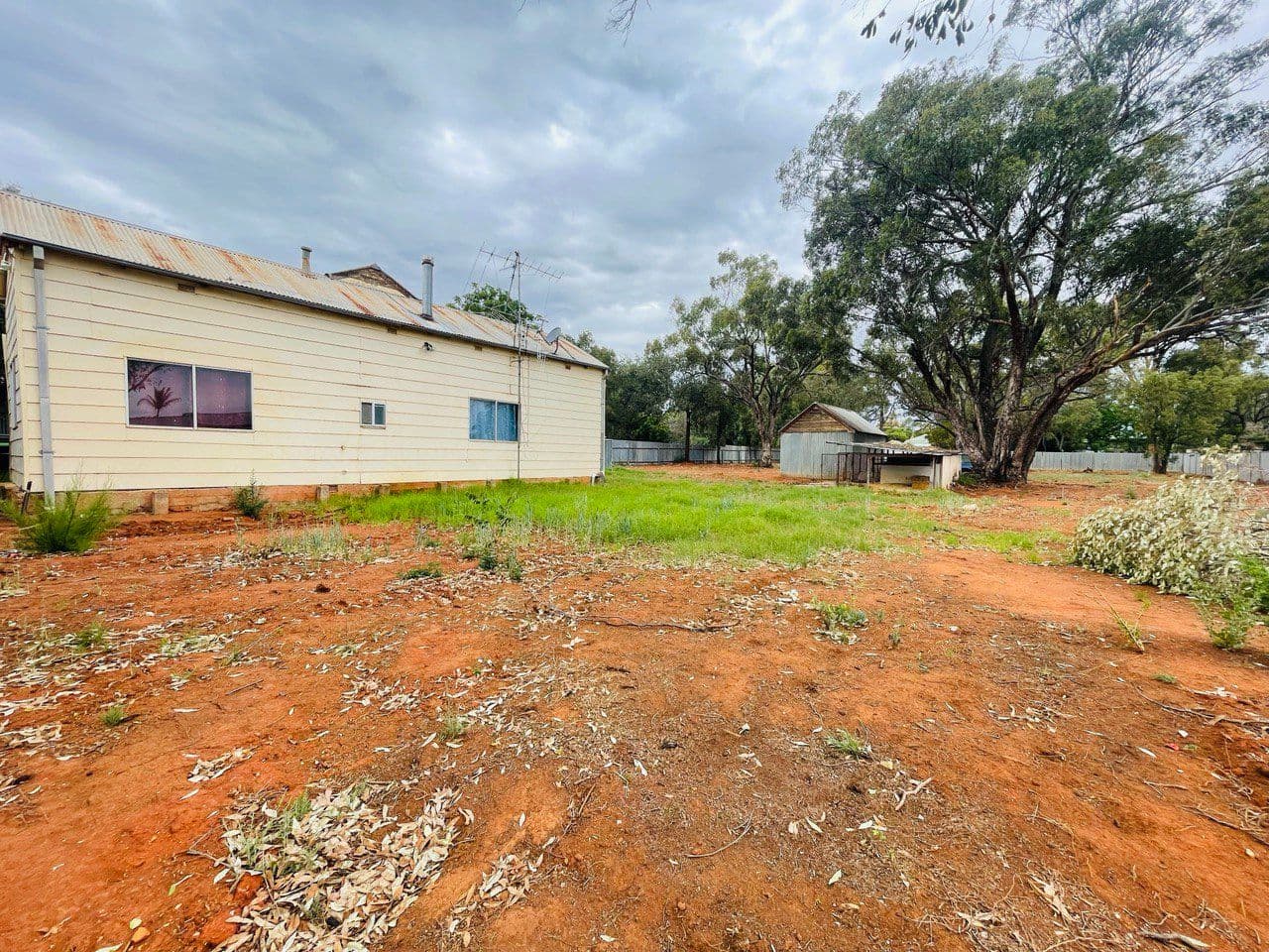 12 Goodwill Street, Condobolin NSW 2877, Condobolin - Thumbnail 5