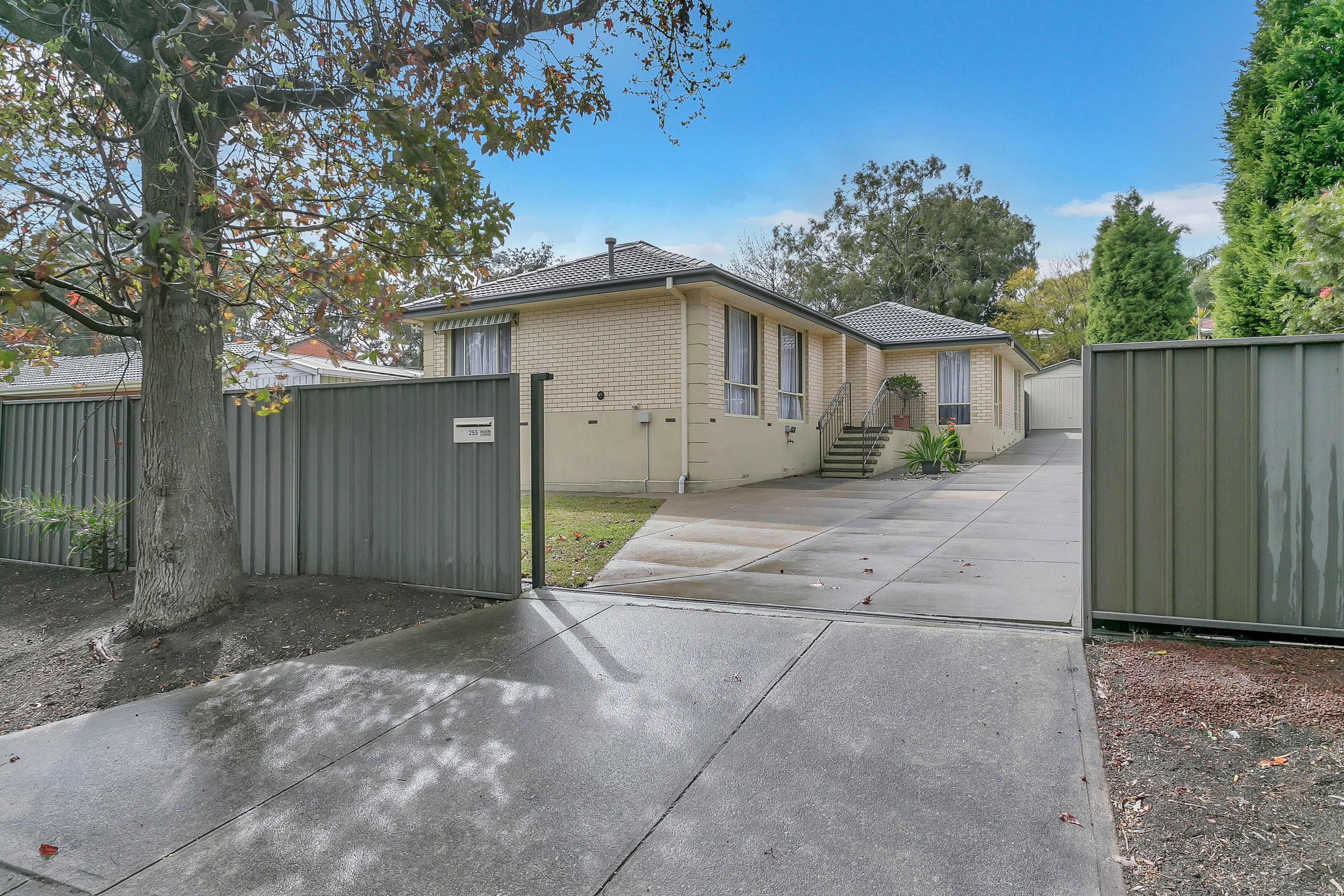 255 Hancock Road, Banksia Park SA 5091, Banksia Park - Thumbnail 3