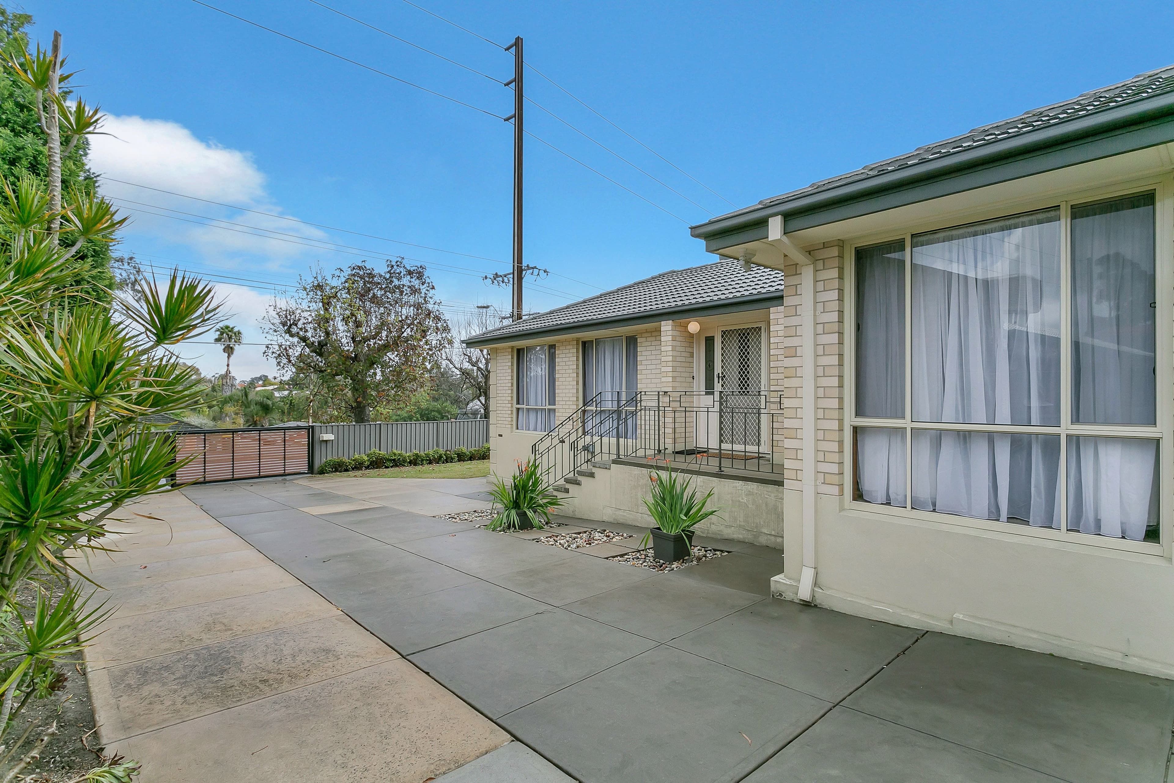 255 Hancock Road, Banksia Park SA 5091, Banksia Park - Thumbnail 4