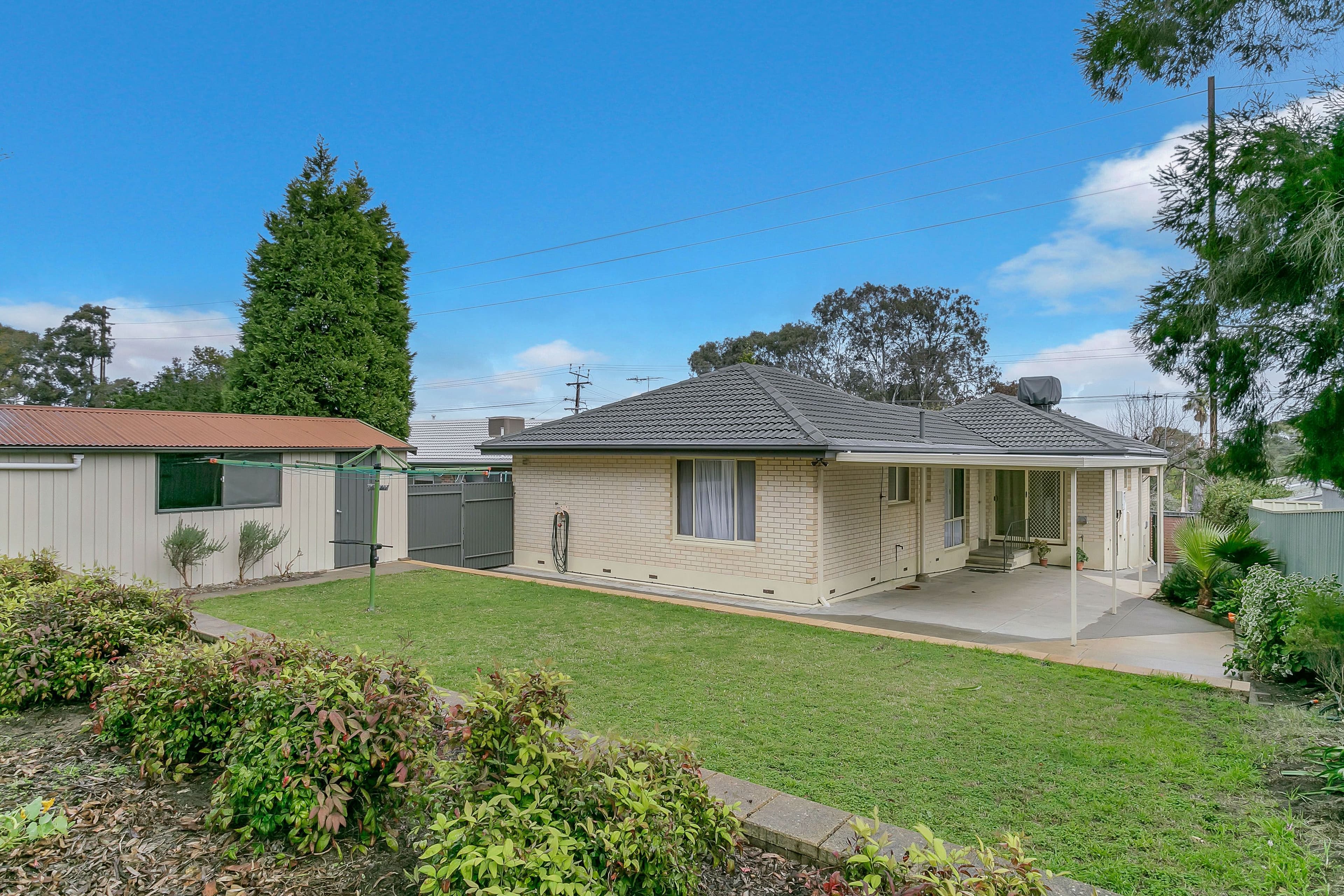 255 Hancock Road, Banksia Park SA 5091, Banksia Park - Thumbnail 5