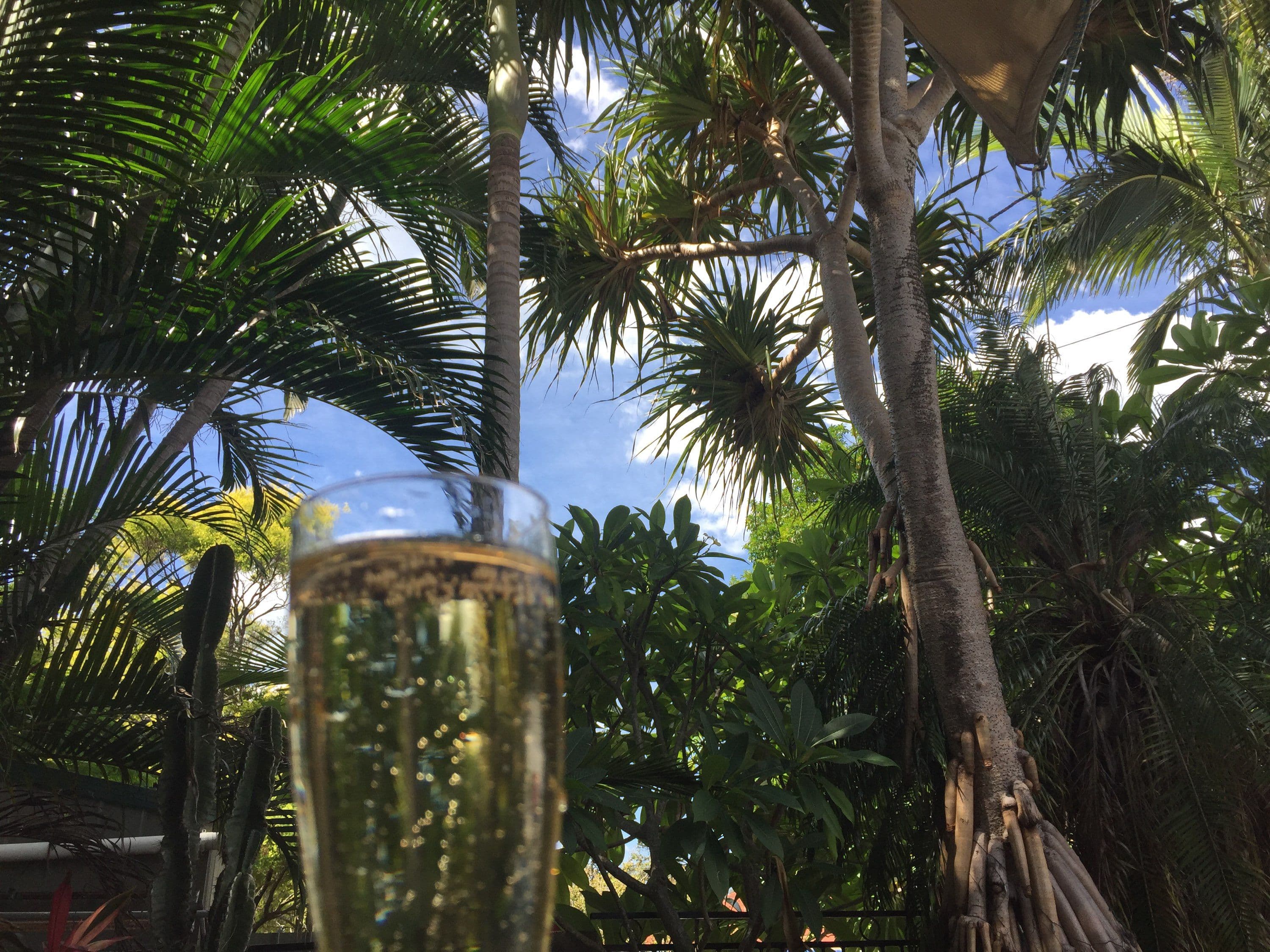 27 Wassell Street, Wynnum QLD 4178, Wynnum - Thumbnail 4