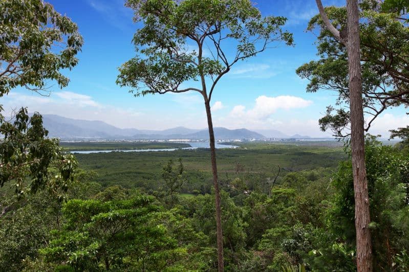 1338 Pine Creek Road, EAST TRINITY QLD 4871, East Trinity - Image 1