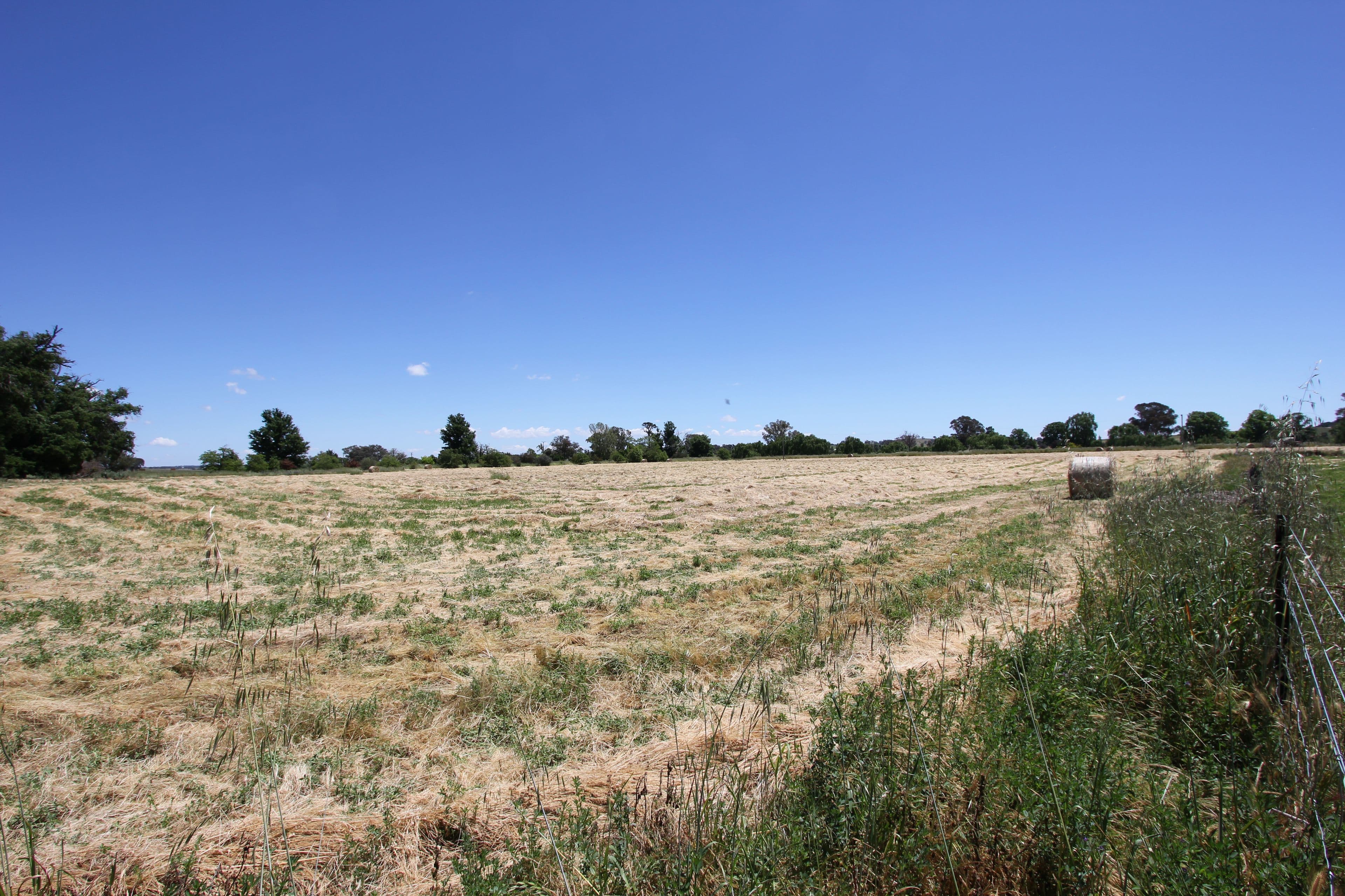 17 Scott Street, Boorowa NSW 2586, Boorowa - Image 1