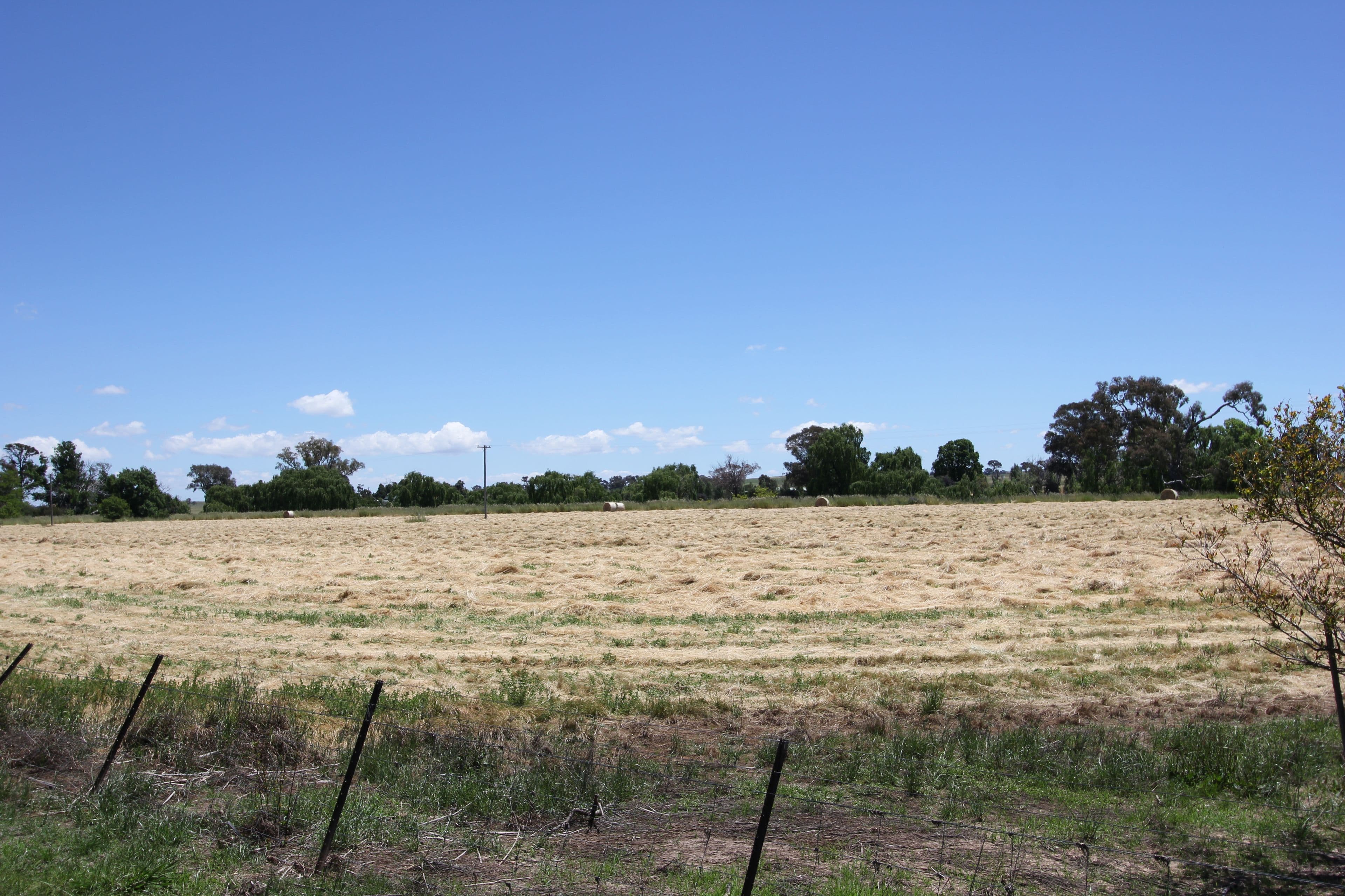 17 Scott Street, Boorowa NSW 2586, Boorowa - Thumbnail 2
