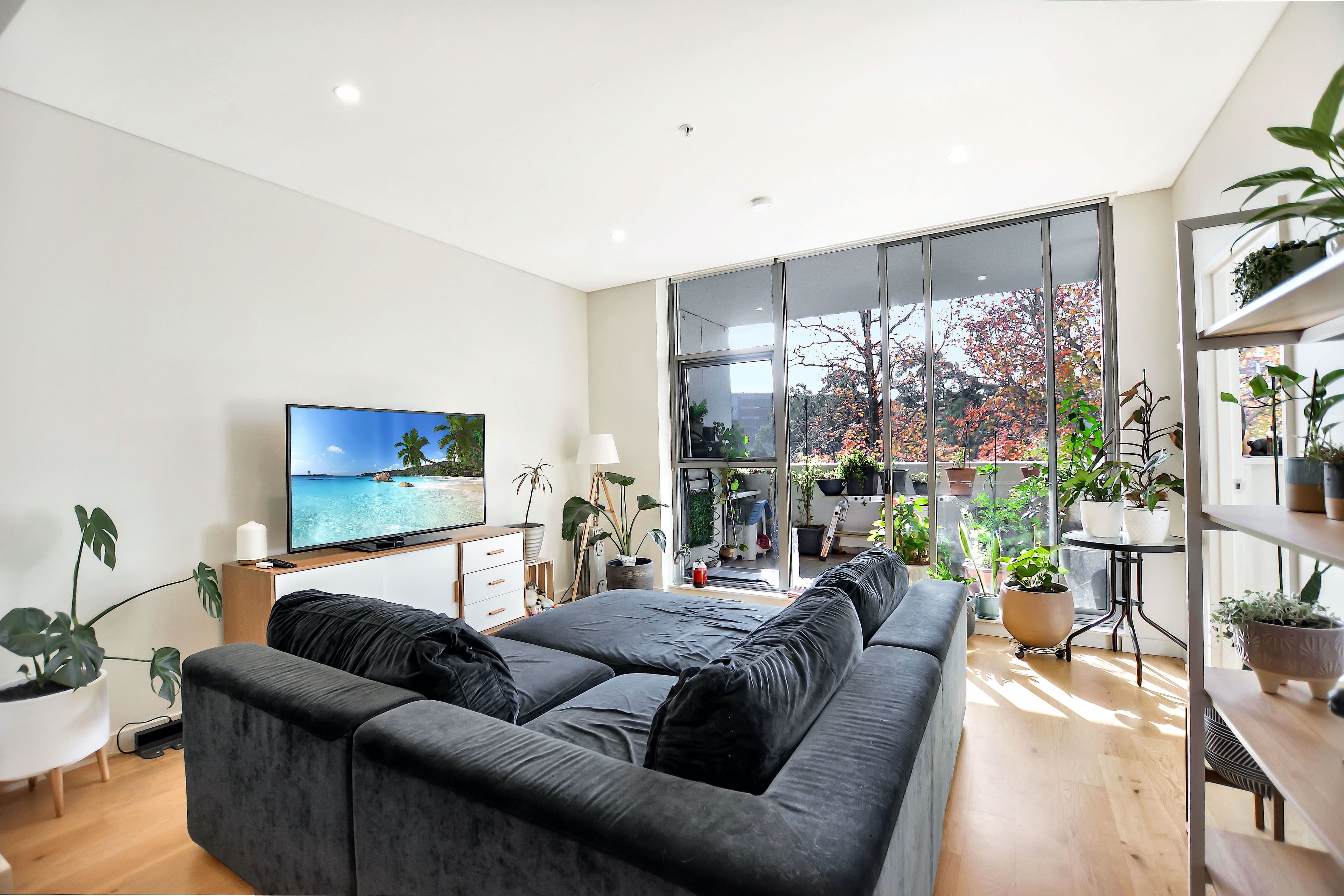9 Mooltan Avenue, Macquarie Park NSW 2113, Macquarie Park - Thumbnail 2