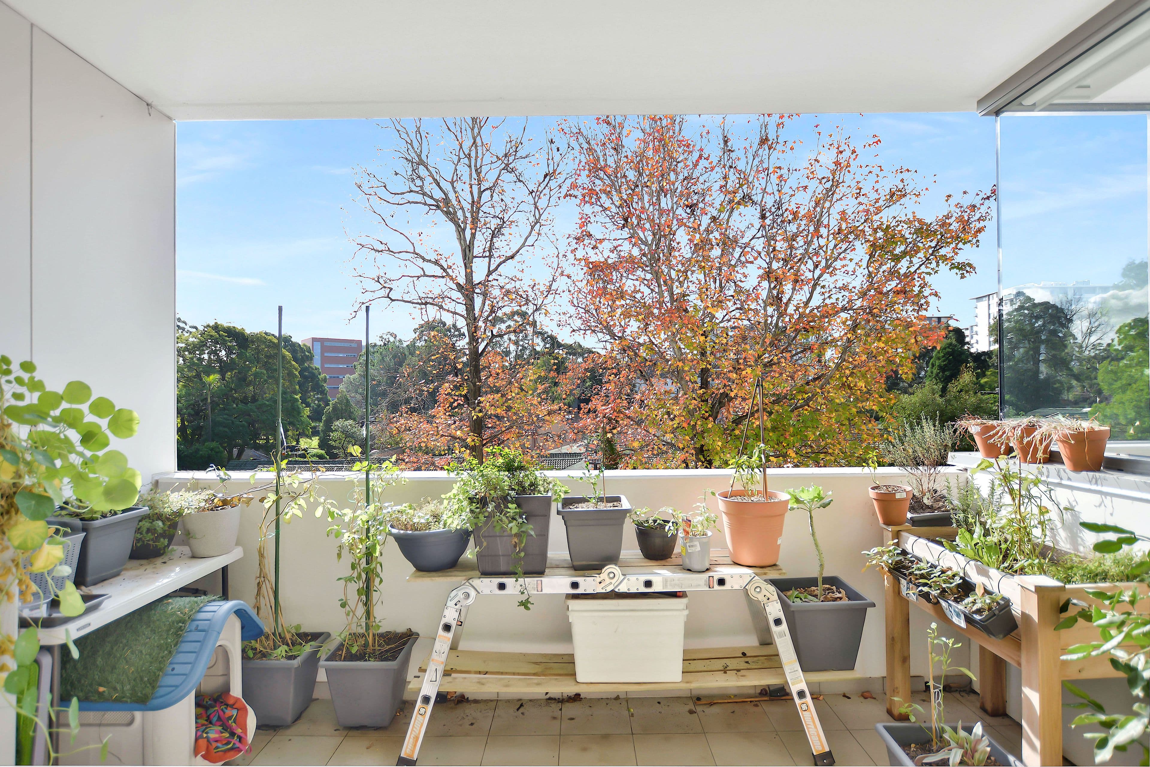 9 Mooltan Avenue, Macquarie Park NSW 2113, Macquarie Park - Thumbnail 5