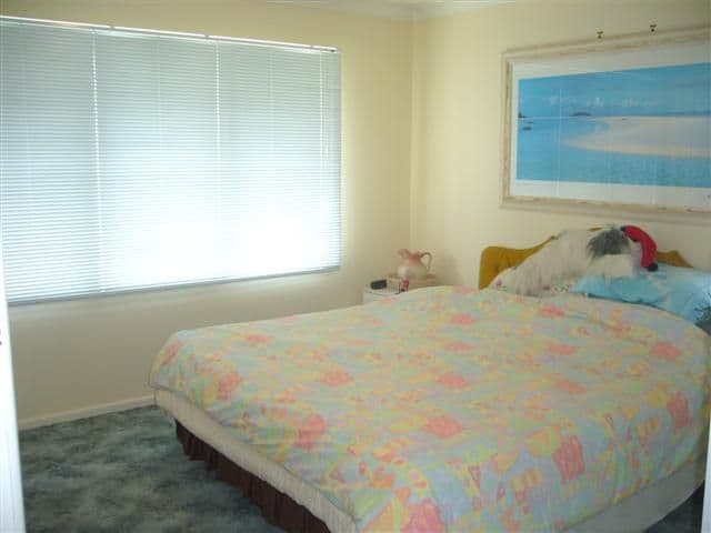 240 Broadwater Road, MANSFIELD QLD 4122, Mansfield - Thumbnail 6