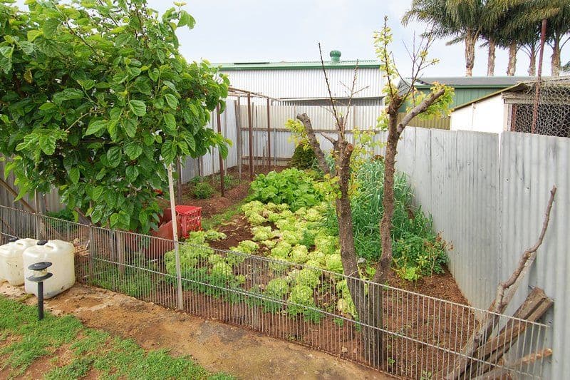36 Brenthorpe Street, SEATON SA 5023, Seaton - Thumbnail 7