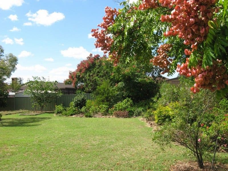14 Wright Street, OAKEY QLD 4401, Oakey - Thumbnail 3