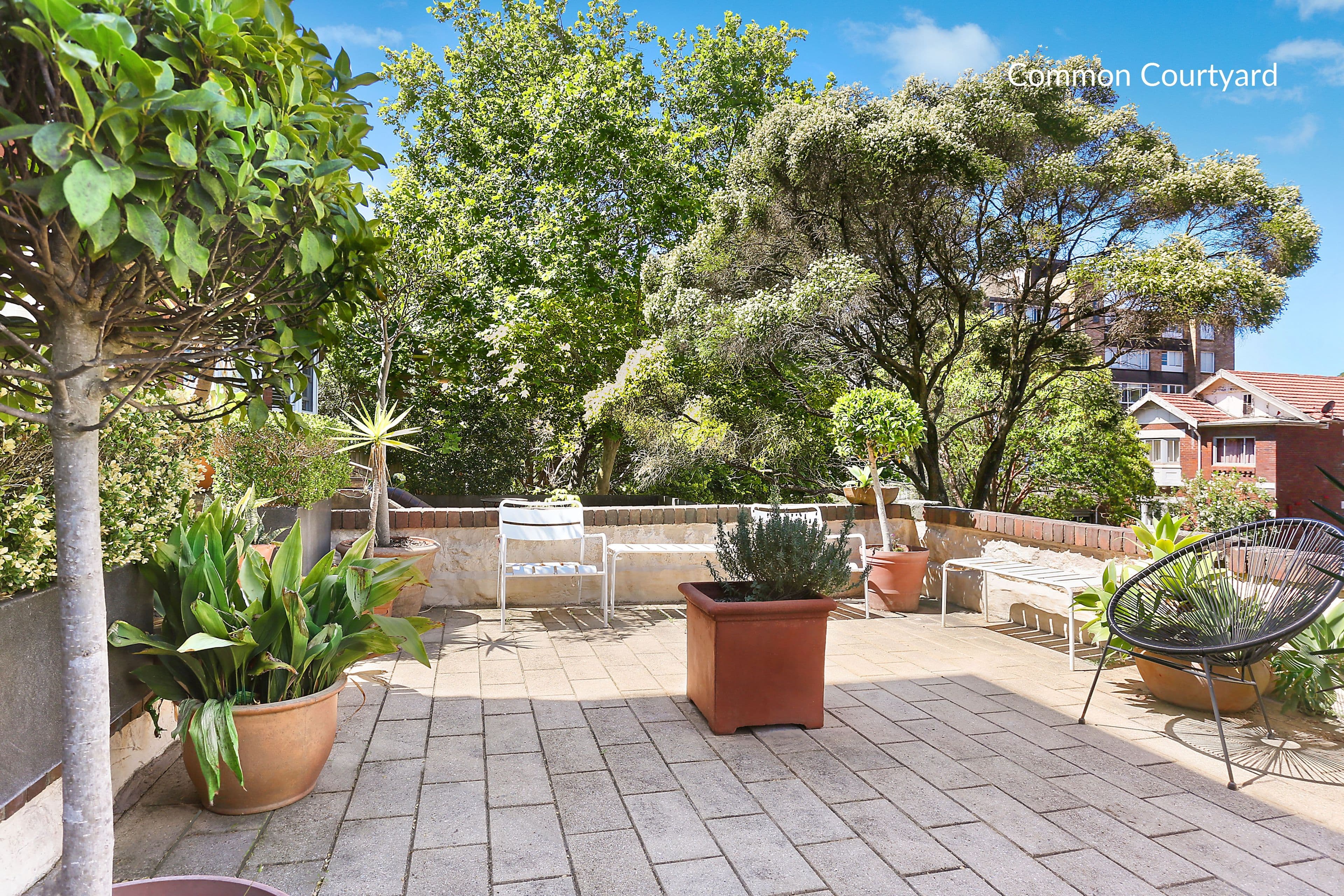 17a Ocean Street North, Bondi NSW 2026, Bondi - Thumbnail 4