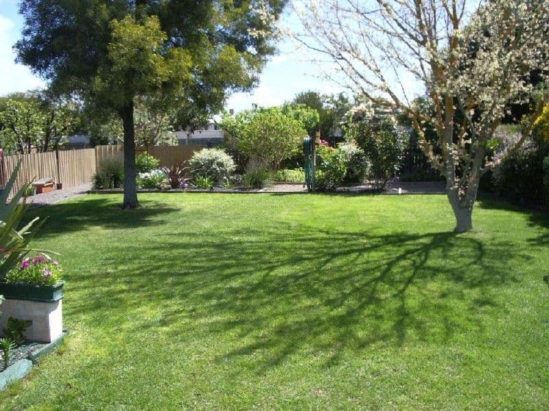 17 Campbell Street, BORDERTOWN SA 5268, Bordertown - Thumbnail 5
