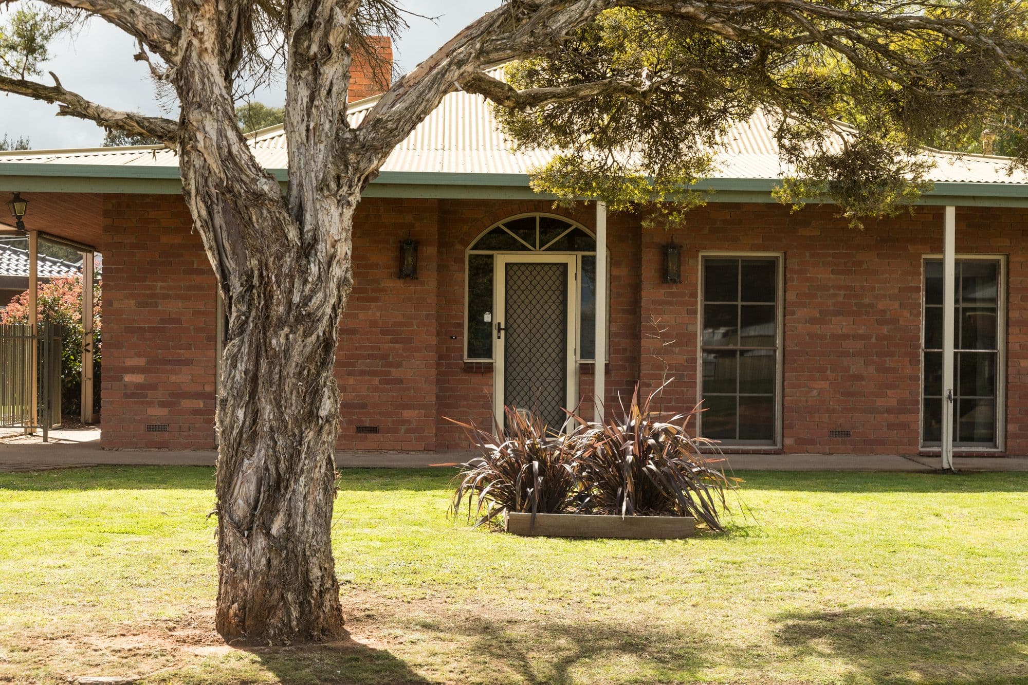 81 Williams Street, Tatura VIC 3616, Tatura - Thumbnail 3