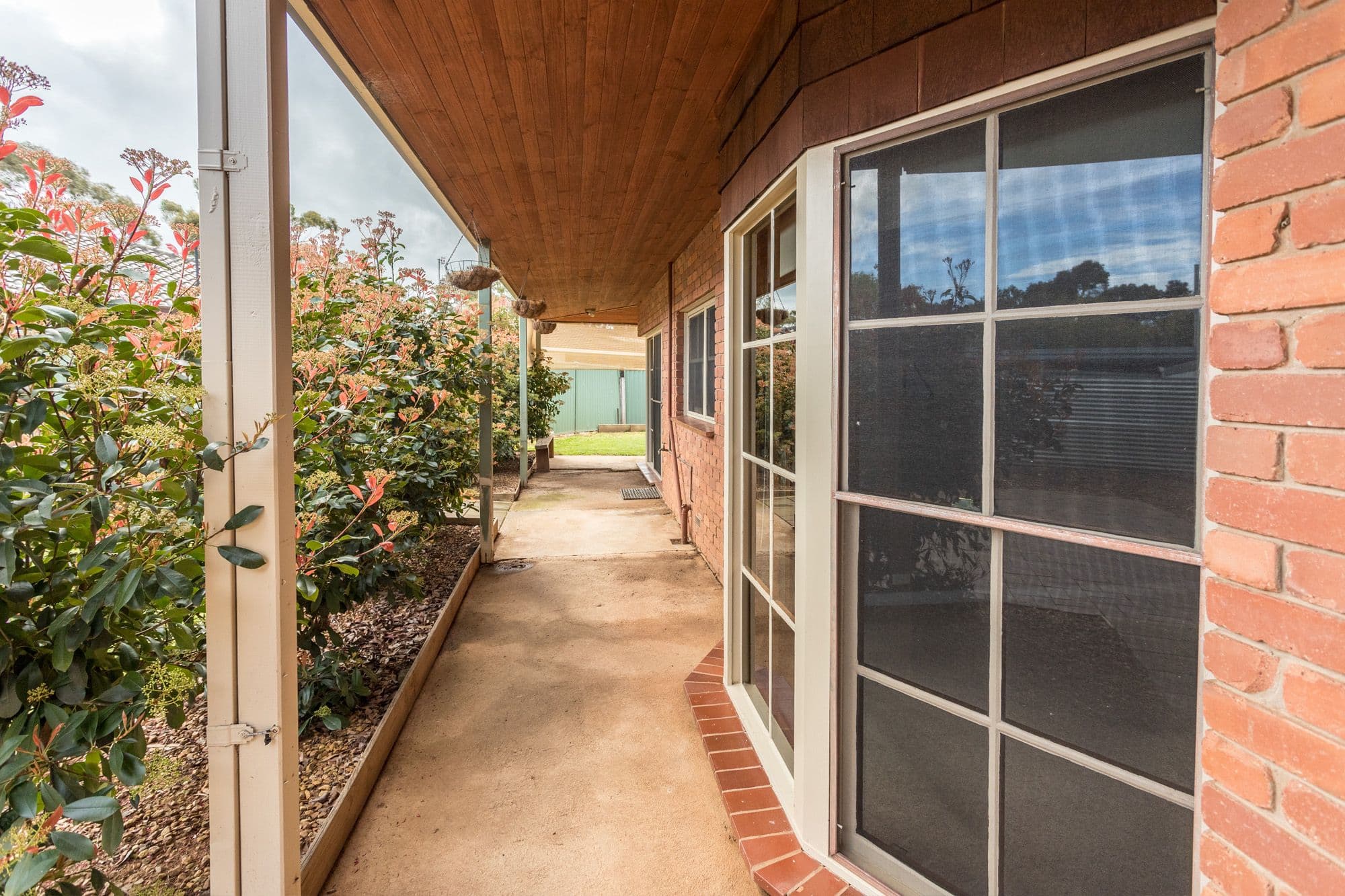 81 Williams Street, Tatura VIC 3616, Tatura - Thumbnail 6