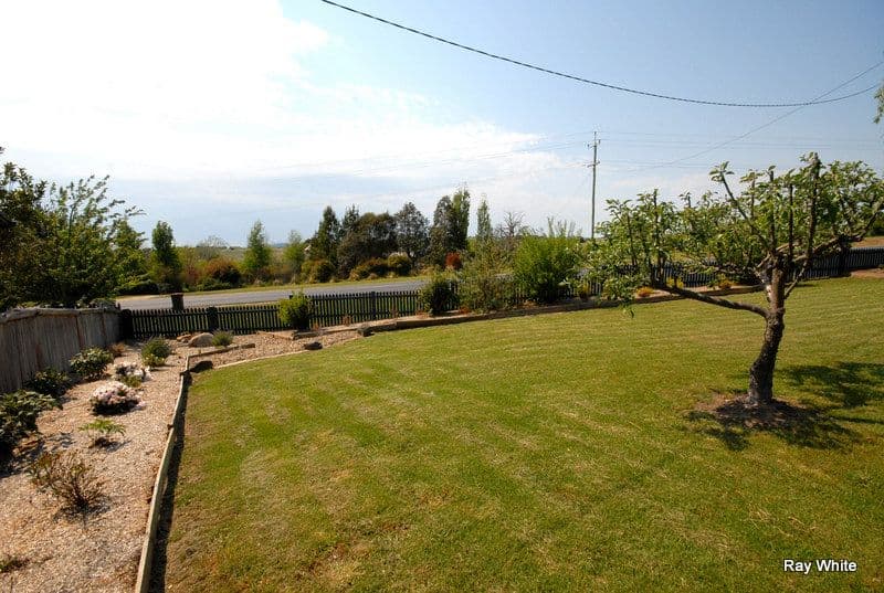 98 Rosanna Road, Heidelberg, Heidelberg - Thumbnail 4