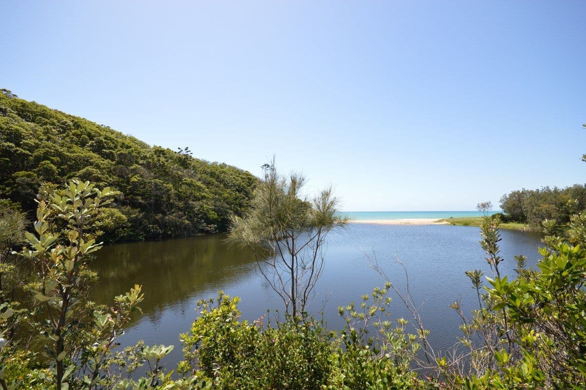 10-14 Daintree Drive, Korora NSW 2450, Korora - Thumbnail 4