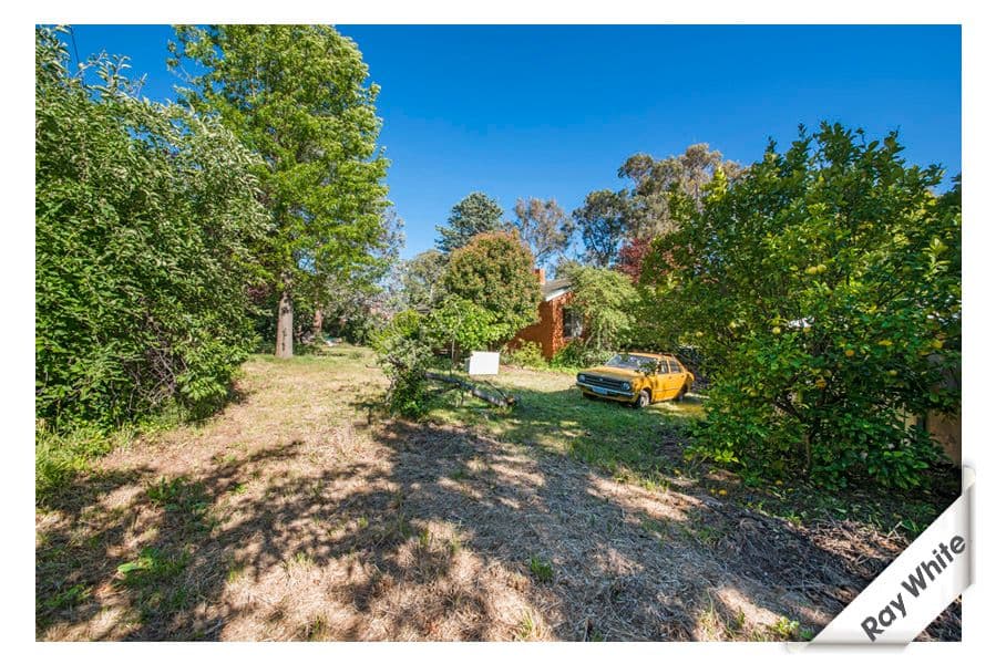 11 Hannam Place, MAWSON ACT 2607, Mawson - Thumbnail 8