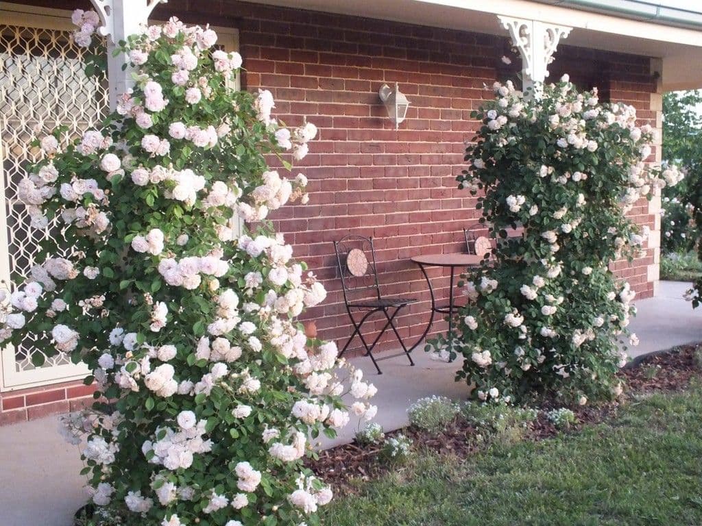 1 Cypress Crescent, Kelso NSW 2795, Kelso - Thumbnail 4