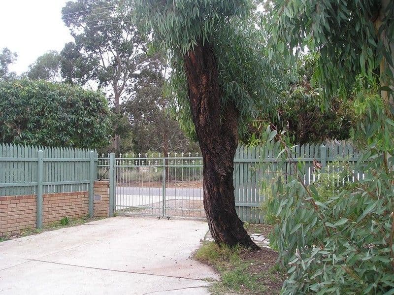 45 Wungong Road, ARMADALE WA 6112, Armadale - Thumbnail 7