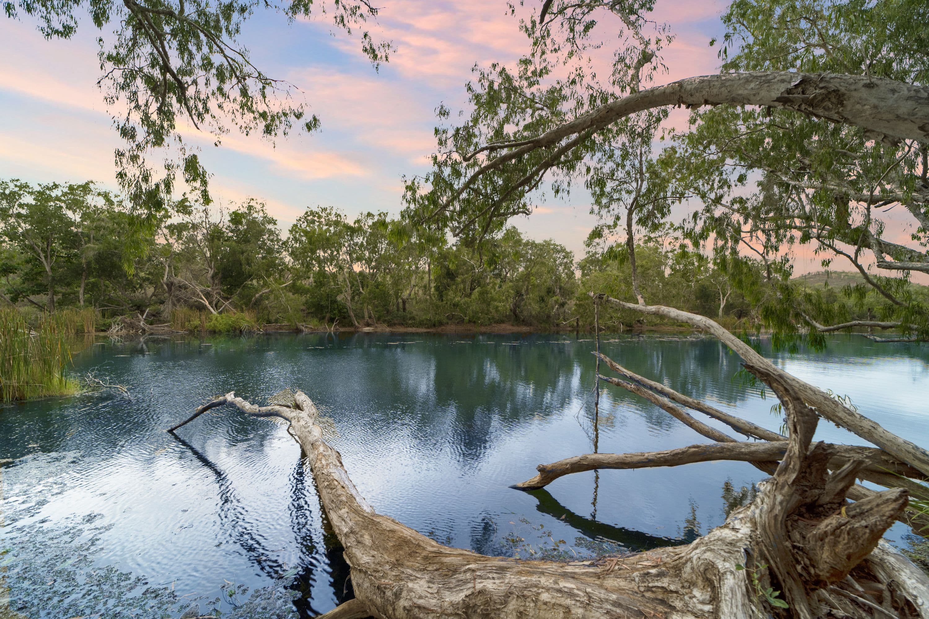 1590 Riverway Drive, Kelso QLD 4815, Kelso - Thumbnail 2
