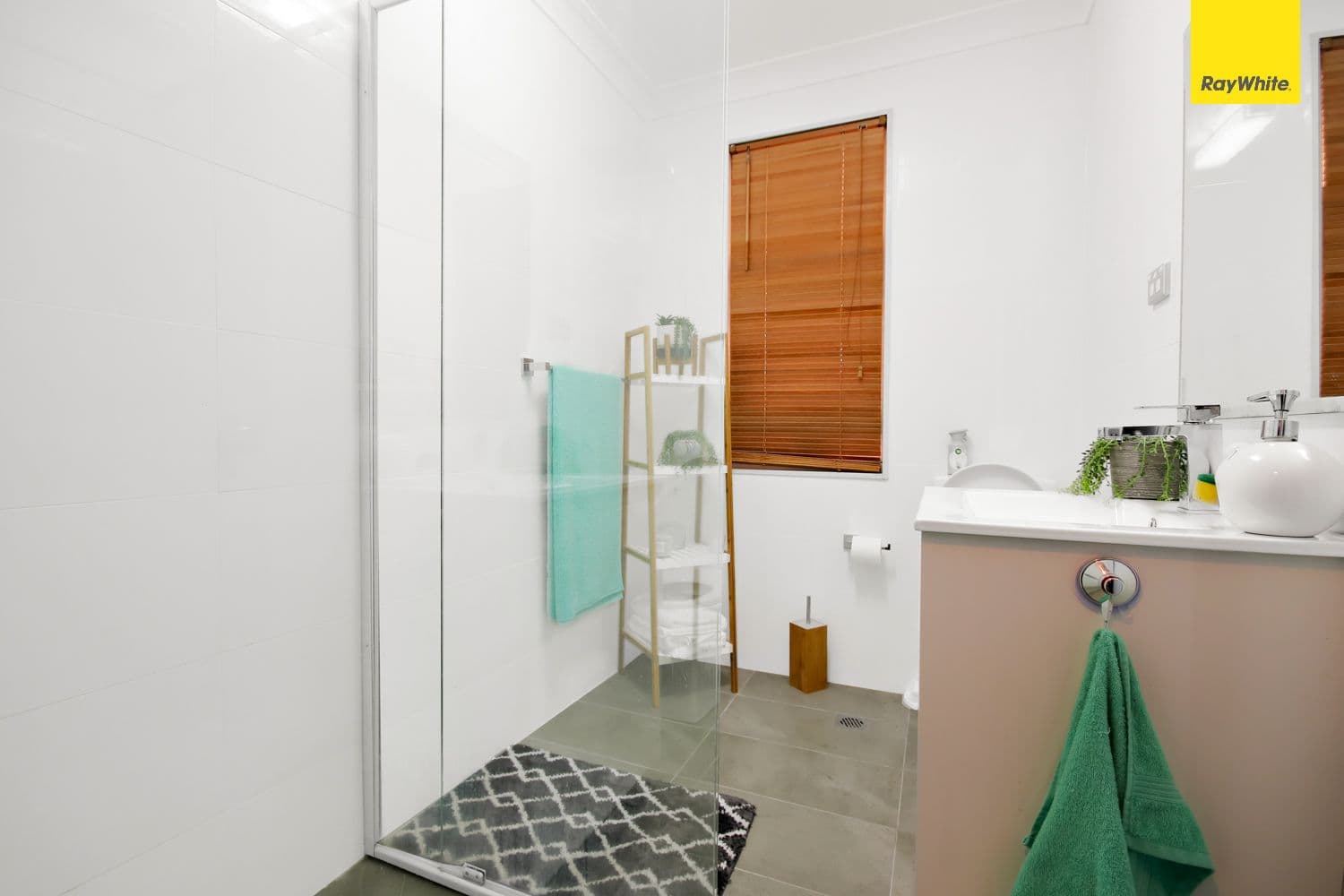 231 Carlisle Avenue, Hebersham NSW 2770, Hebersham - Thumbnail 4
