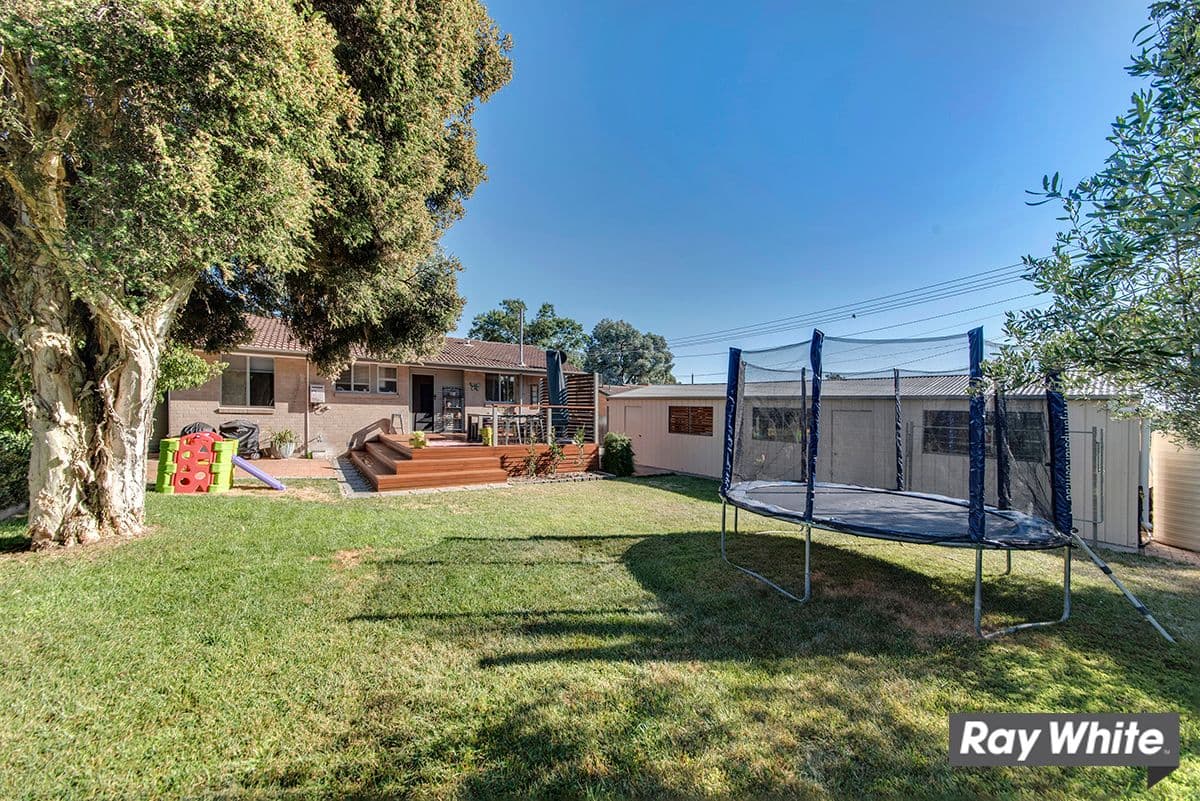 23 Liverpool Street, Macquarie ACT 2614, Macquarie - Thumbnail 4