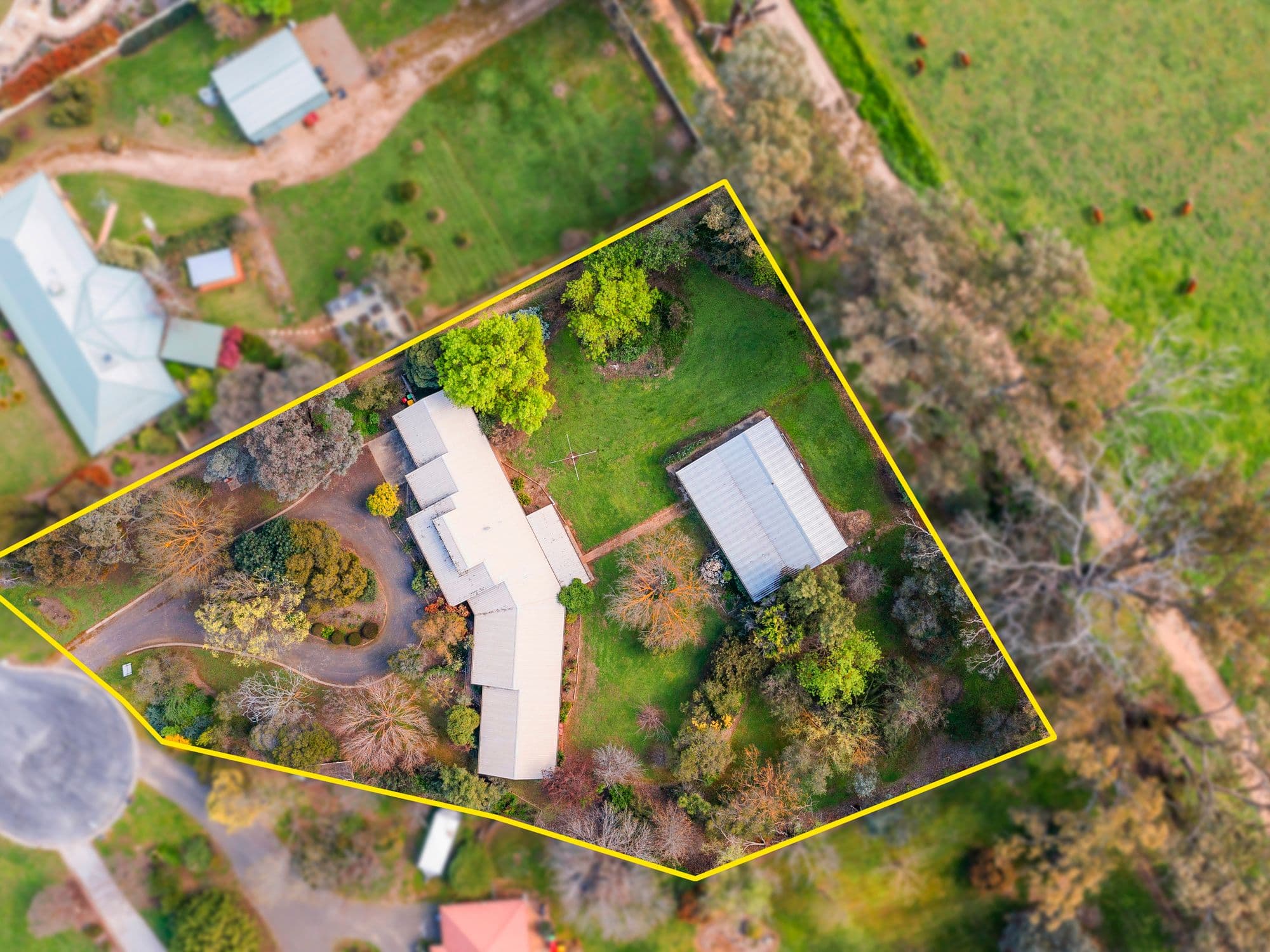 21 Glenfern Court, Benalla VIC 3672, Benalla - Thumbnail 3