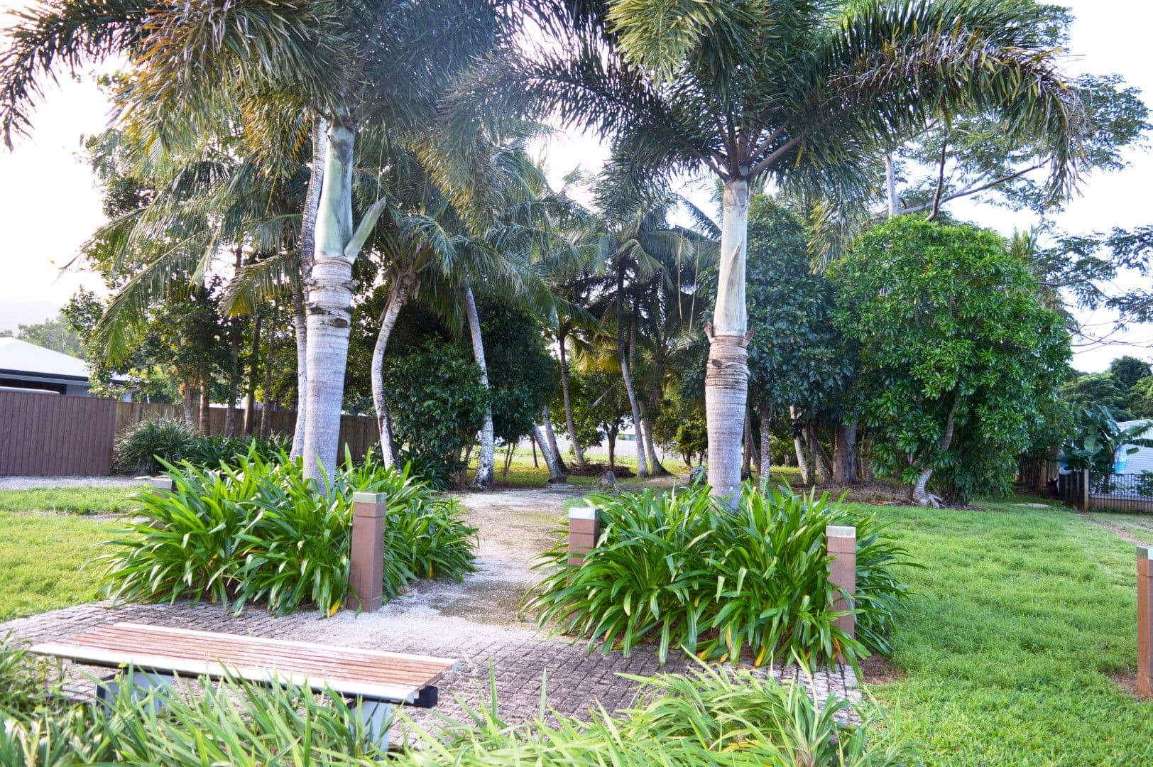 10 & 12 Shelly Court, Mission Beach QLD 4852, Mission Beach - Thumbnail 6