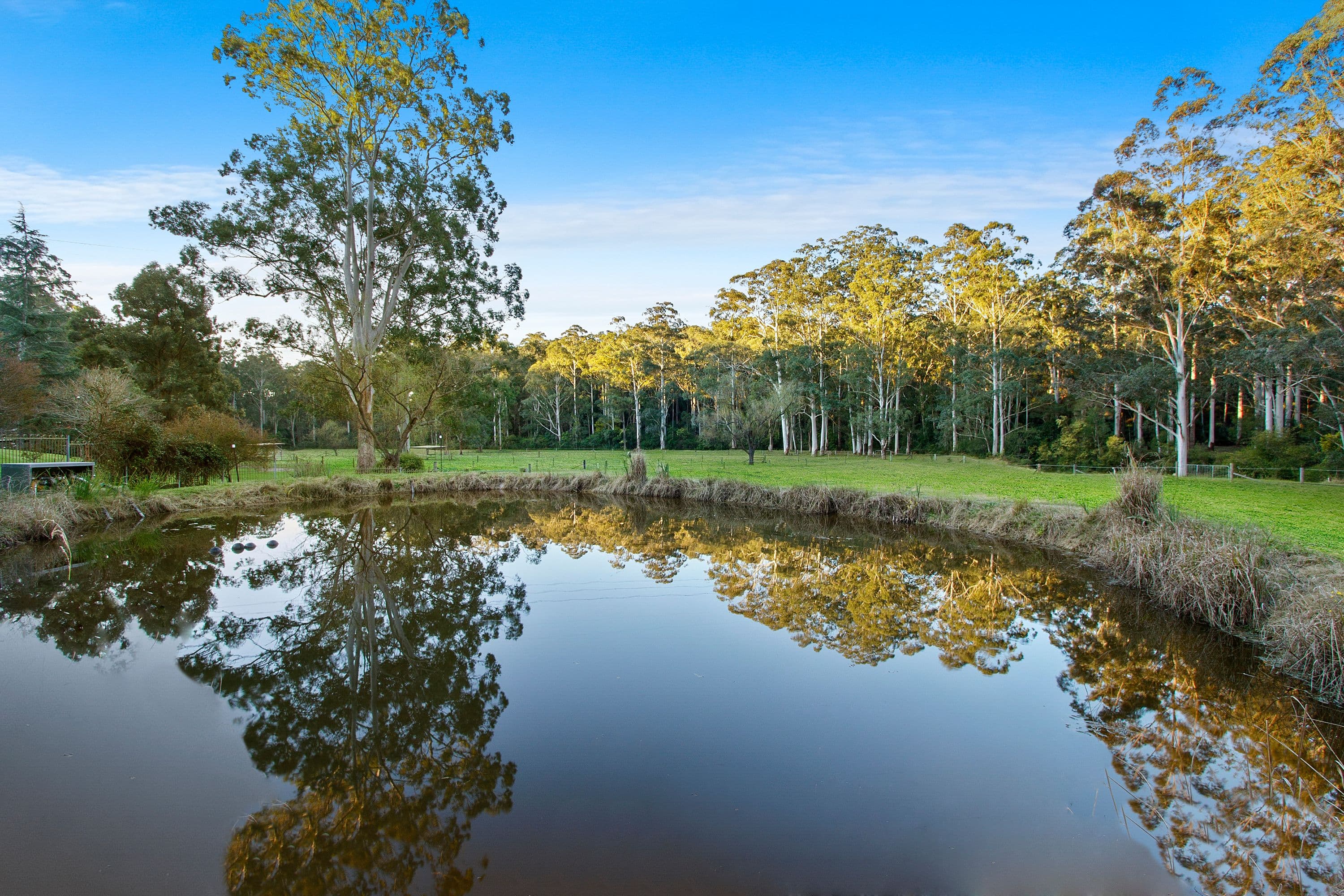 12 Woodland Road, Annangrove NSW 2156, Annangrove - Thumbnail 3