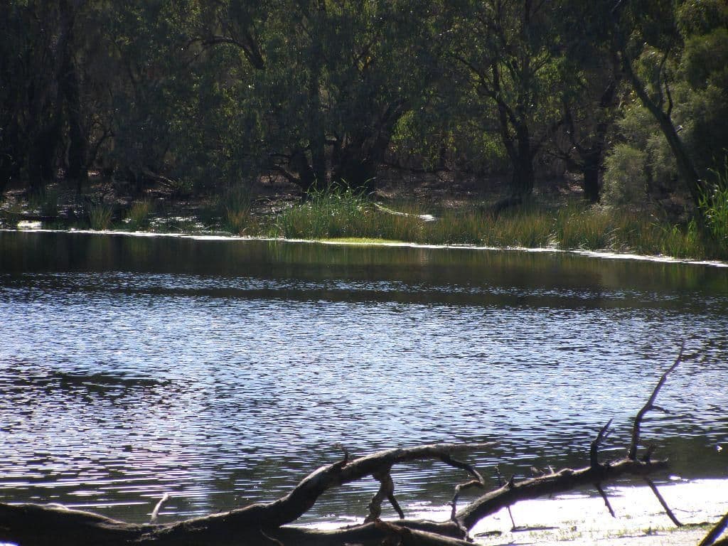 GINGIN WA 6503, Gingin - Thumbnail 2