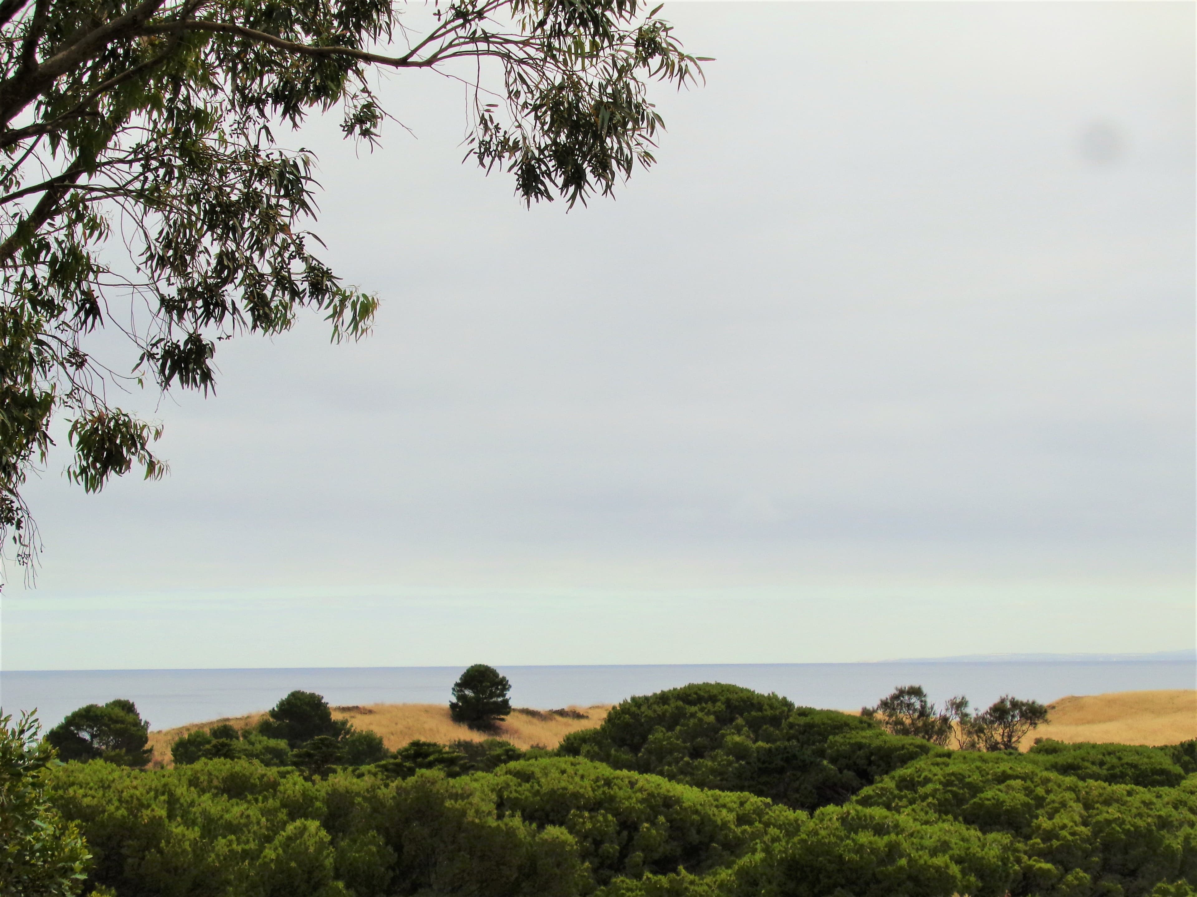 13 Scenic View Drive, Second Valley SA 5204, Second Valley - Thumbnail 5