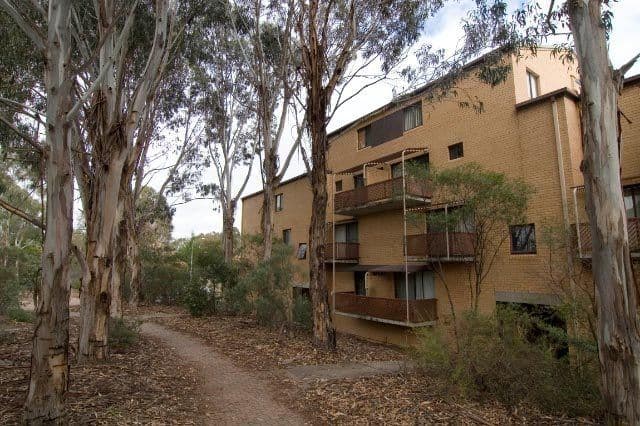 1 Daphne Street, Kurralta Park, SA, 5037, Kurralta Park - Image 1