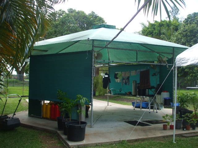 25 Fraser Street, INGHAM QLD 4850, Ingham - Thumbnail 5