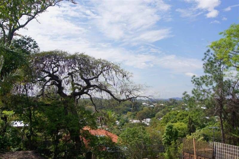 17 Philip Street, HAWTHORNE QLD 4171, Hawthorne - Thumbnail 3