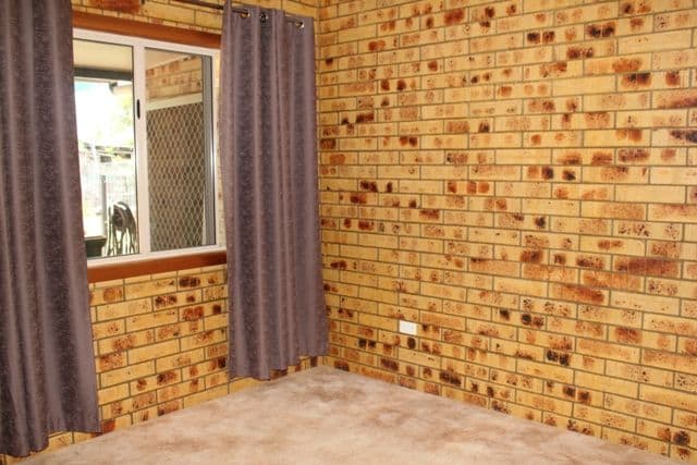 10 Scovazzis Road, Ingham QLD 4850, Ingham - Thumbnail 4