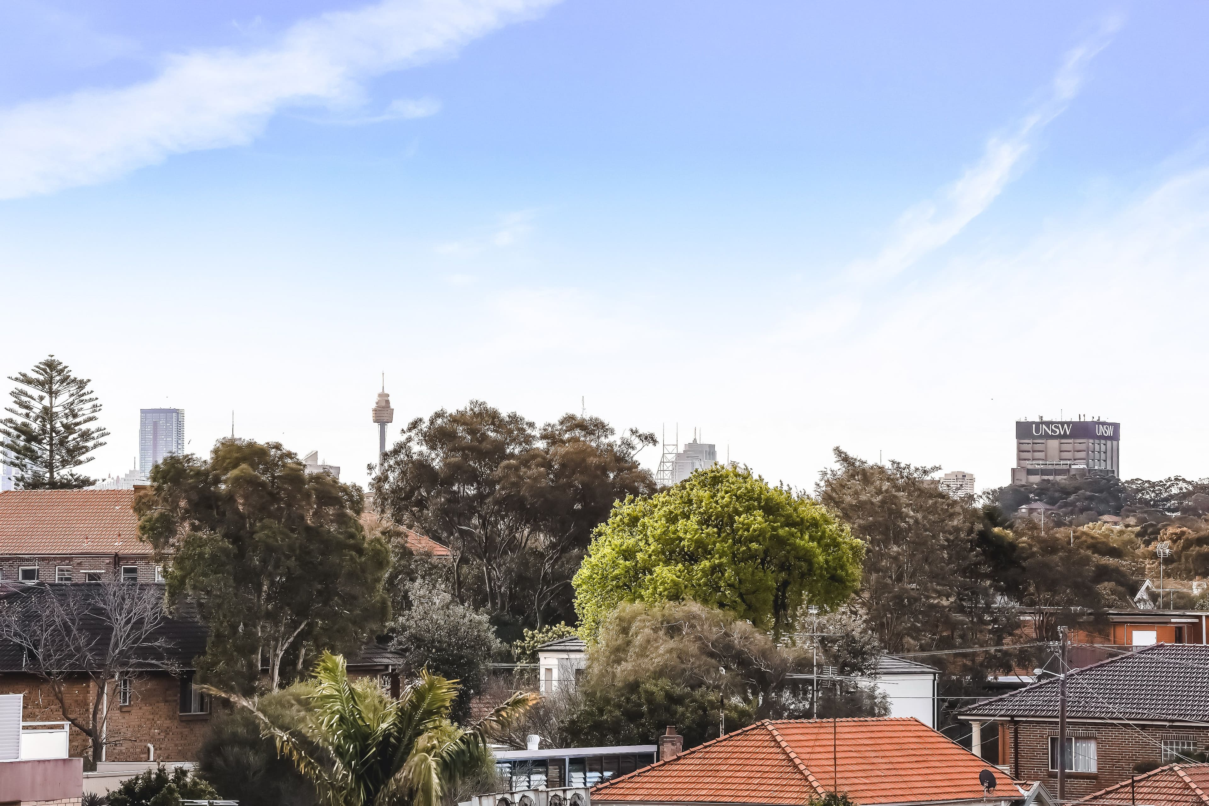 125 Boyce Road, Maroubra NSW 2035, Maroubra - Thumbnail 4