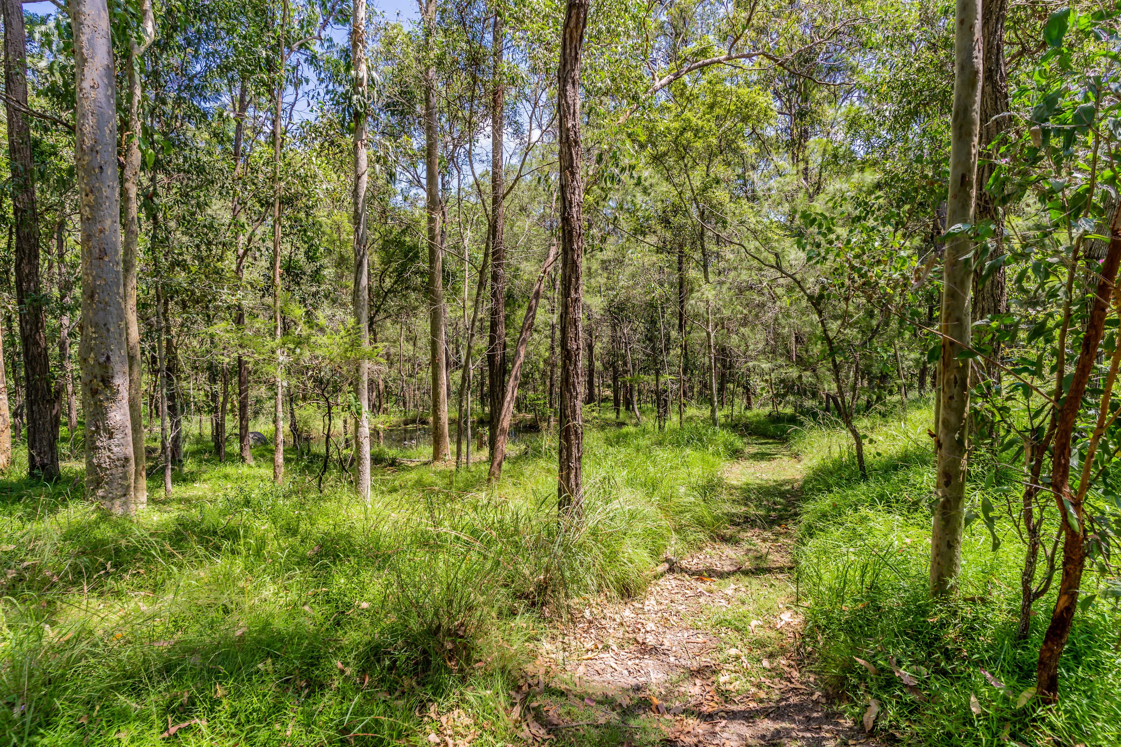 639-643 Ford Road, Priestdale QLD 4127, Priestdale - Thumbnail 7