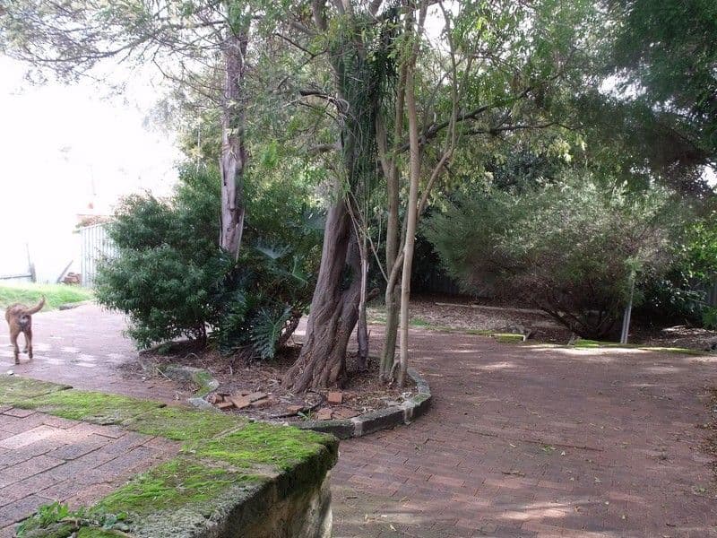 8 Armitage Road, KELMSCOTT WA 6111, Kelmscott - Thumbnail 2