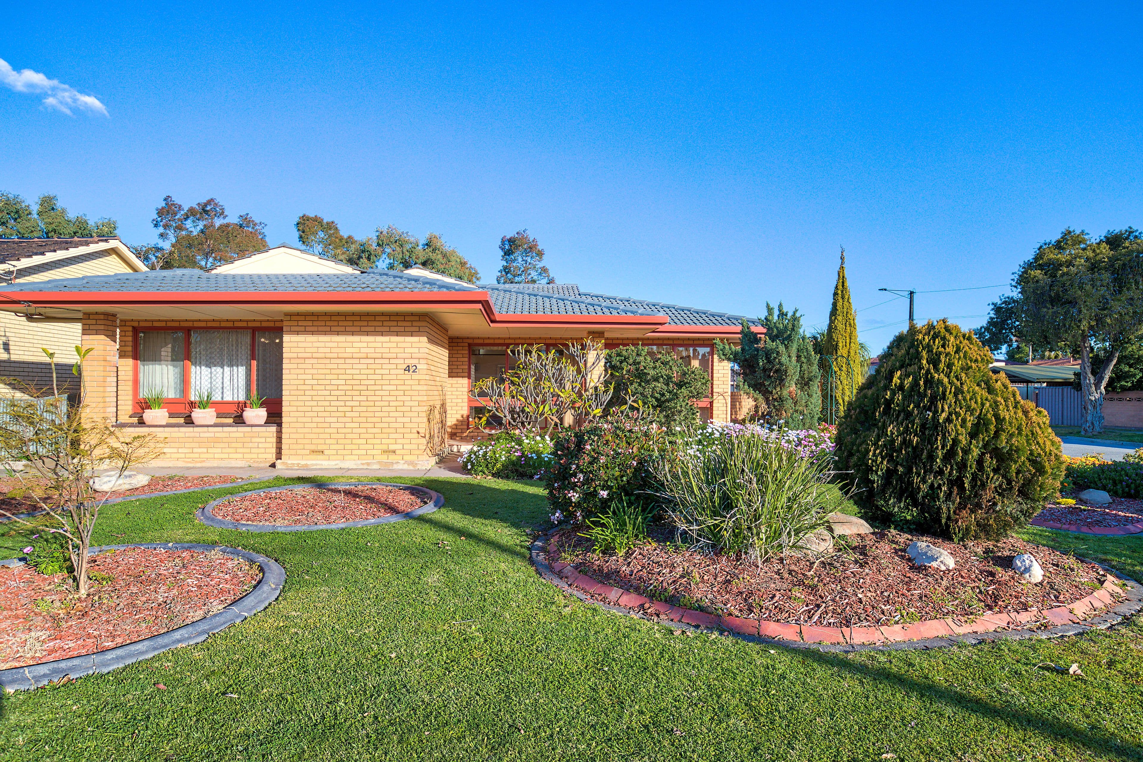 42 Shelley Avenue, Fulham Gardens SA 5024, Fulham Gardens - Thumbnail 2